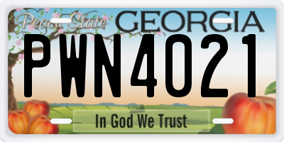GA license plate PWN4021