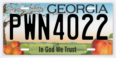GA license plate PWN4022