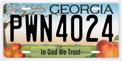 GA license plate PWN4024