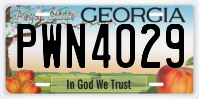 GA license plate PWN4029