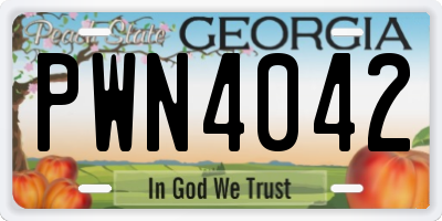 GA license plate PWN4042