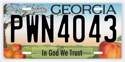 GA license plate PWN4043