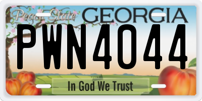 GA license plate PWN4044