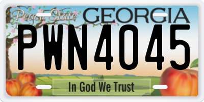 GA license plate PWN4045