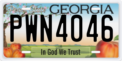 GA license plate PWN4046