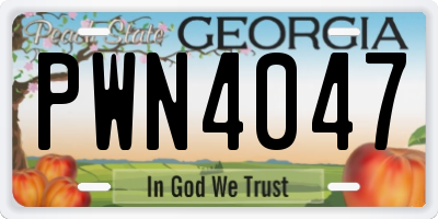 GA license plate PWN4047