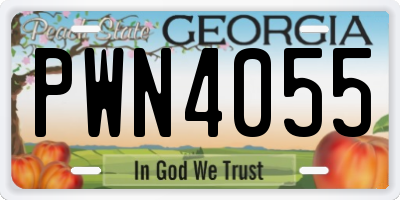 GA license plate PWN4055