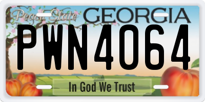 GA license plate PWN4064