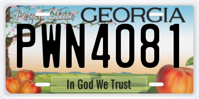GA license plate PWN4081