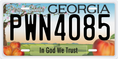 GA license plate PWN4085
