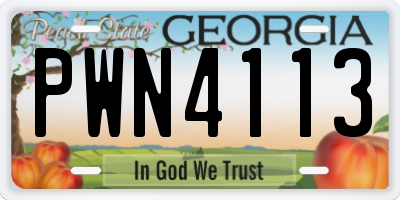 GA license plate PWN4113