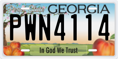 GA license plate PWN4114