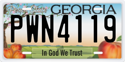 GA license plate PWN4119