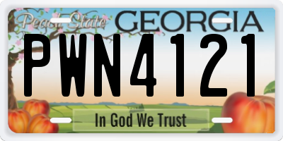 GA license plate PWN4121