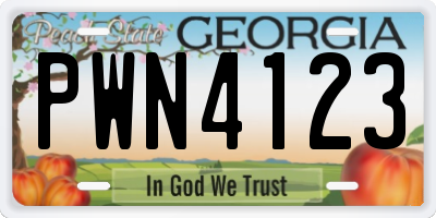 GA license plate PWN4123