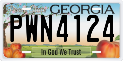 GA license plate PWN4124