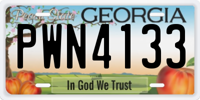GA license plate PWN4133