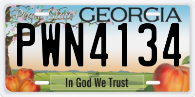 GA license plate PWN4134
