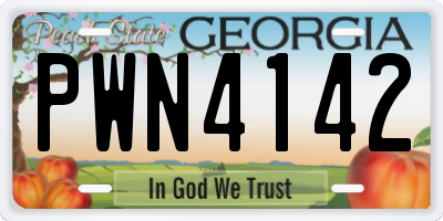 GA license plate PWN4142