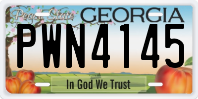 GA license plate PWN4145