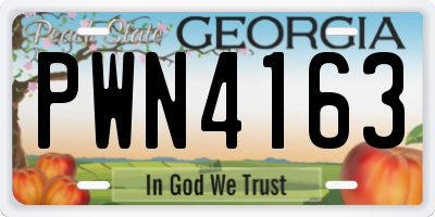 GA license plate PWN4163