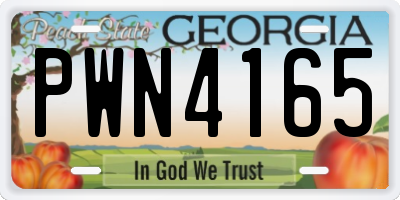 GA license plate PWN4165
