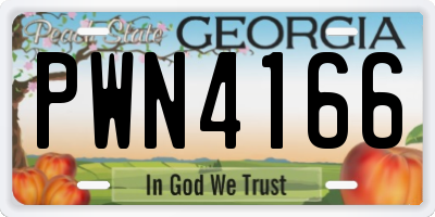 GA license plate PWN4166