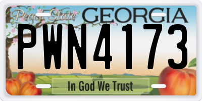 GA license plate PWN4173