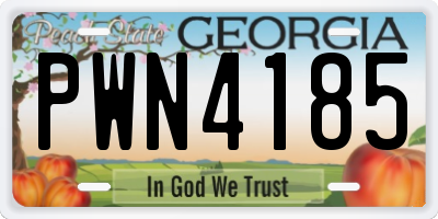 GA license plate PWN4185