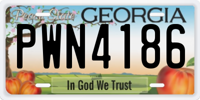 GA license plate PWN4186