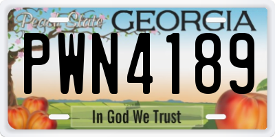 GA license plate PWN4189