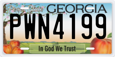 GA license plate PWN4199