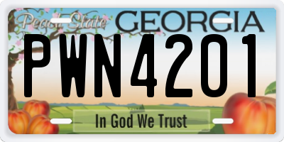 GA license plate PWN4201