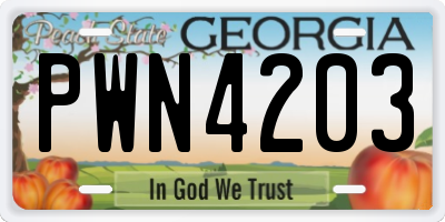 GA license plate PWN4203