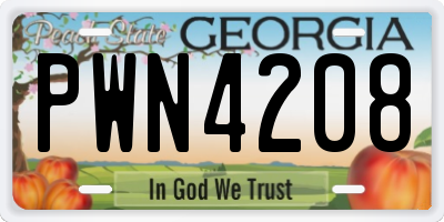 GA license plate PWN4208