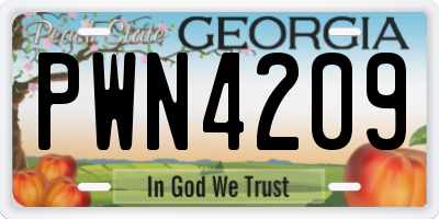 GA license plate PWN4209
