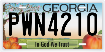GA license plate PWN4210