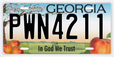 GA license plate PWN4211