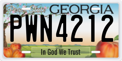 GA license plate PWN4212