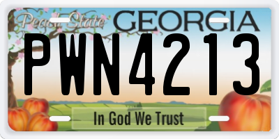 GA license plate PWN4213