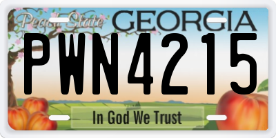 GA license plate PWN4215
