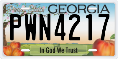 GA license plate PWN4217