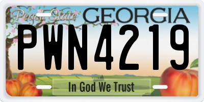 GA license plate PWN4219