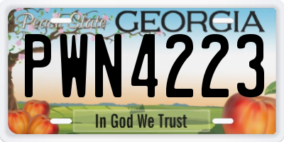 GA license plate PWN4223