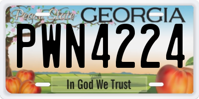 GA license plate PWN4224