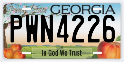 GA license plate PWN4226