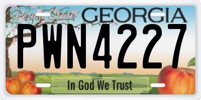GA license plate PWN4227