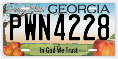 GA license plate PWN4228