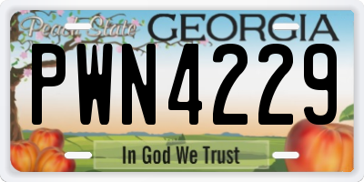 GA license plate PWN4229
