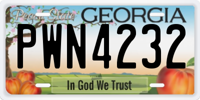GA license plate PWN4232
